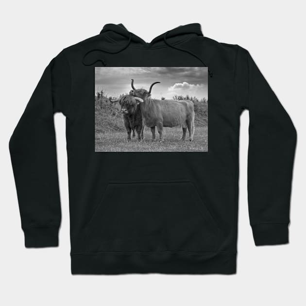 Highland Cows (2 of 2) Hoodie by hton